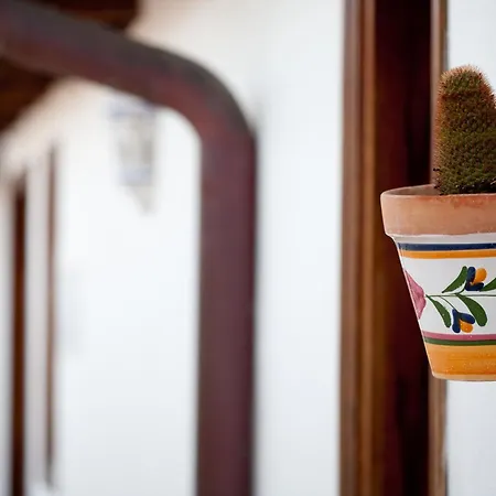 El Tejado 3* 布埃纳维斯塔城北