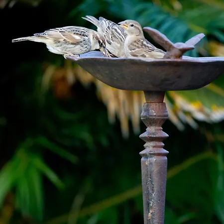 El Tejado 假日公园 3*