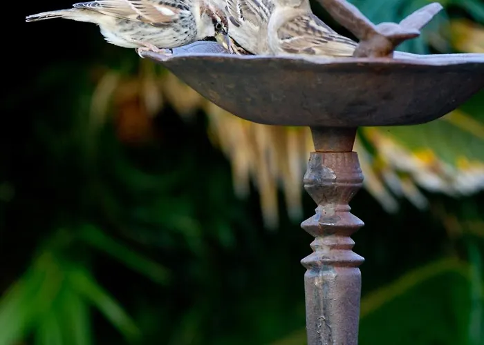 El Tejado Village de vacances 3*